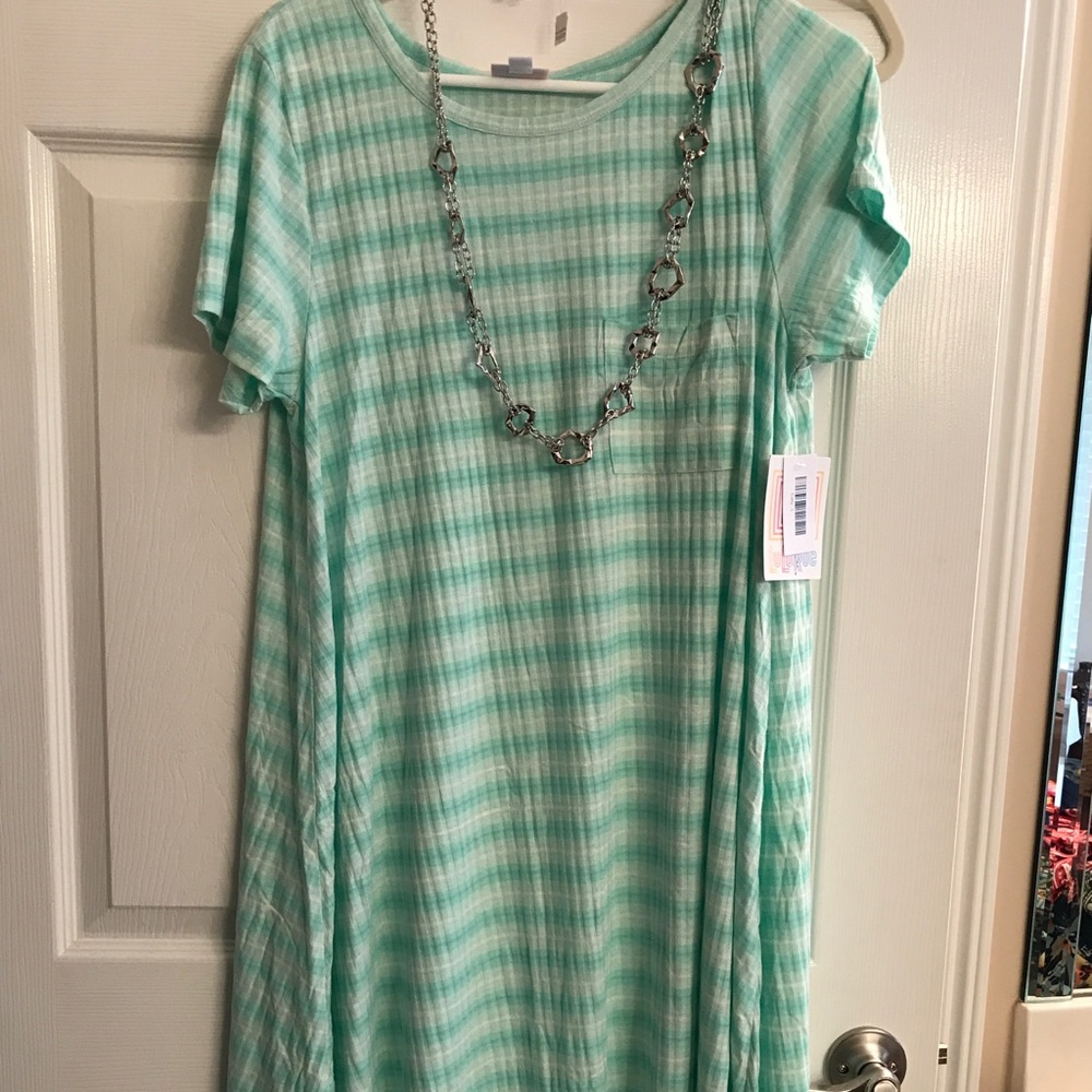 BNWT Large carly